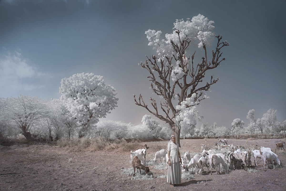 India - Memories of what i have never seen