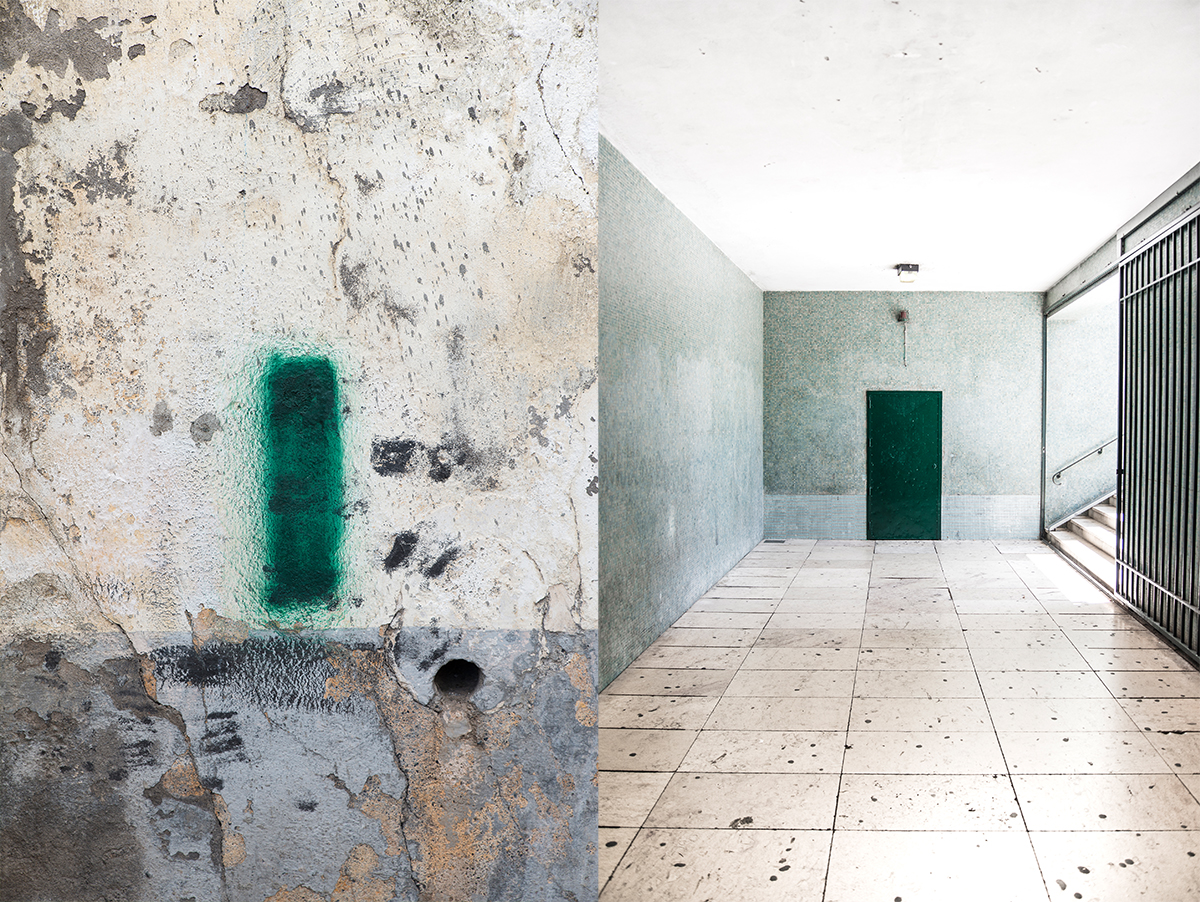 Natural resemblance XI (diptych)