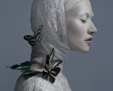 sasha / white monarchy