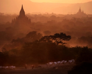 Bagan