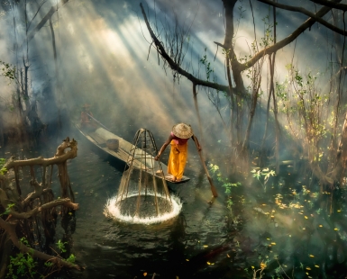 Mangrove Fisherman 2