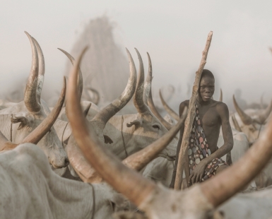 Mundari Cattle Herder
