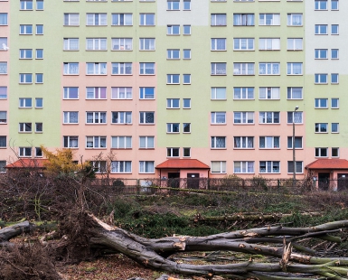 A community ecological catastrophe