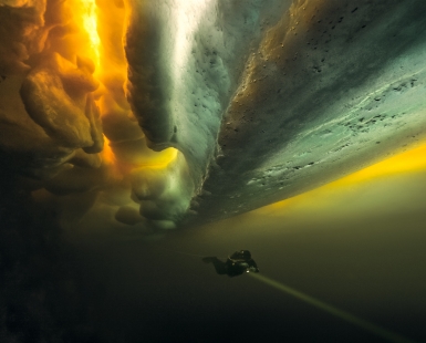 Under the White Sea ice