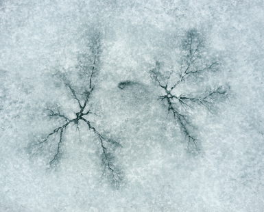 Patterns On Ice In The Lake