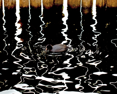 Riflessi Omaggio a Kandinsky