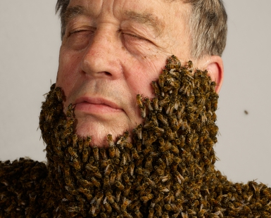 The Keeper of Bees