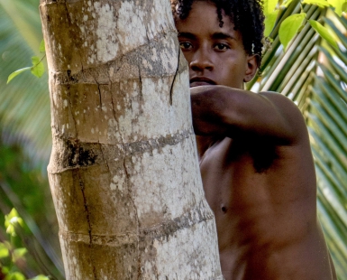 The Boy In The Trees