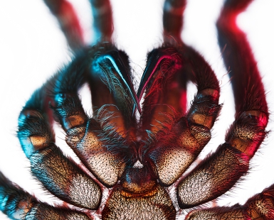 Up close and personal