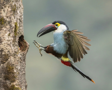 Colombia, Express Landing