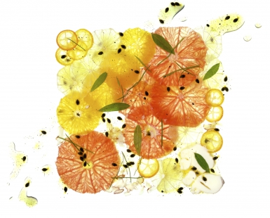 Citrus Carpaccio