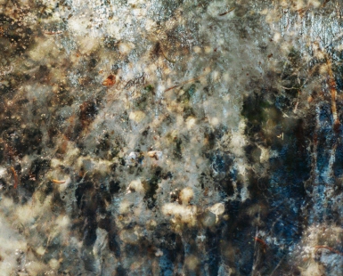 Trip the light fantastic