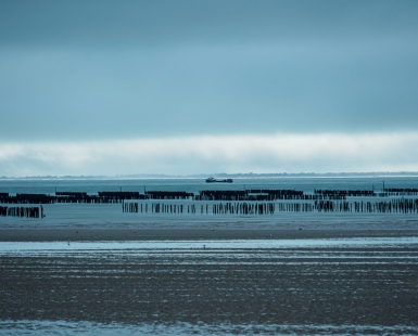 The Myticulteur and the Bouchots