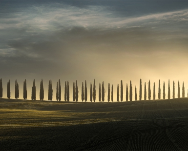 Moment of Bliss in Tuscany