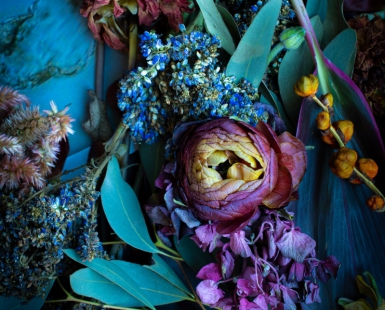 Infertility, 2021-2022: Embryo Transfer November 30th, 2021