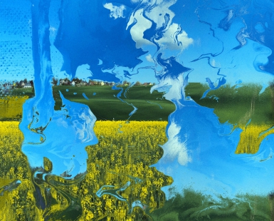 Rapeseed field near Seifersdorf