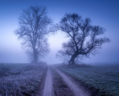 Gateway to the misty valley