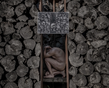 The Art of Human Body