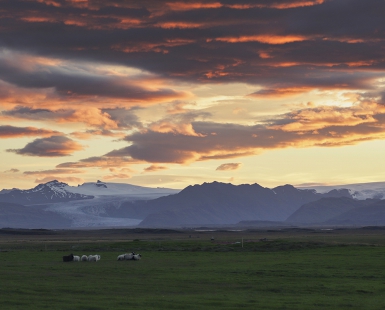 Pasture near the glacier