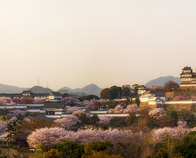 Himeji castle 