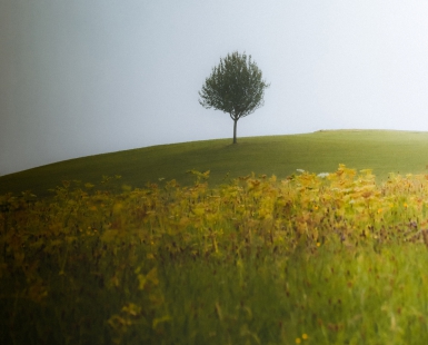 a summer day in august