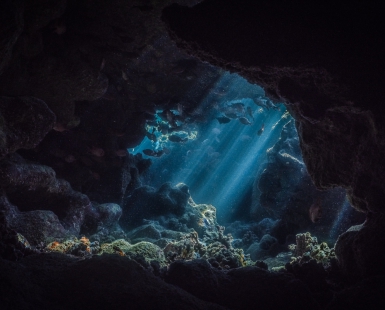 Sunrays underwater