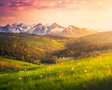 A house with strong backing