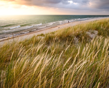 In the sea of thoughts