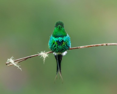 The Turquoise Sweater...