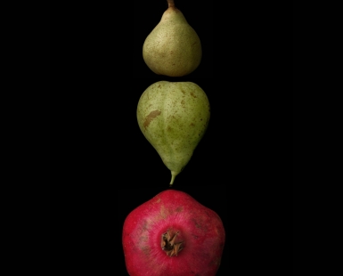Portrait of Fruit: As a fruit farmer