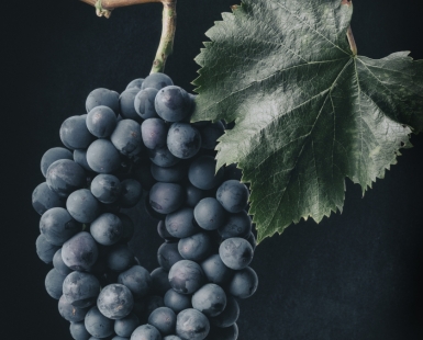 A farmer's wreath from his vineyard