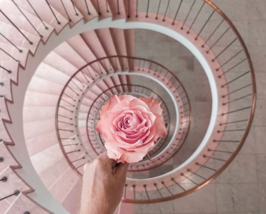 Goodbye Munich's Rose