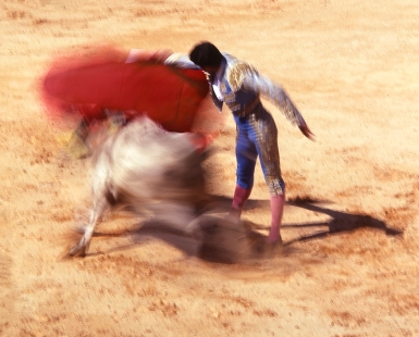 Bullfight Portugal
