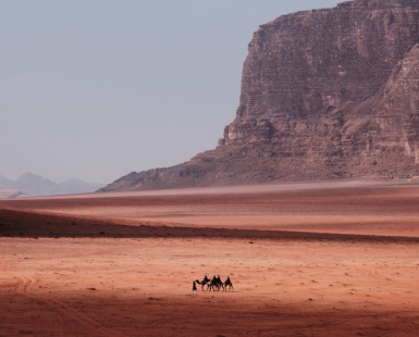 Caravan on Wadi Rum 