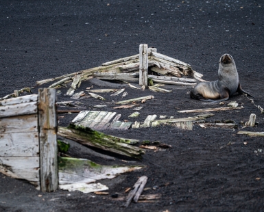 no soy marinero, soy capitan