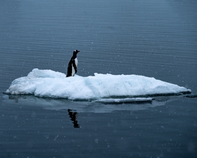 not place enough - change of climate