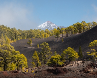 Teide