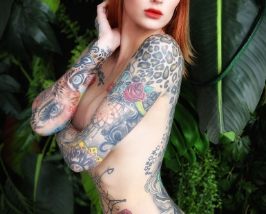 Wildcat in the jungle