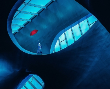 The Umbrella Mystery