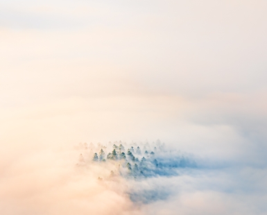 Praise for the morning 