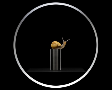 The Human Nature Lab