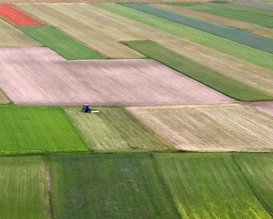 Patchwork of crops