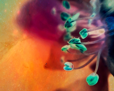 beyond the edge of darkness  # 01