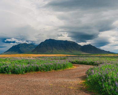 Road to Snæfellsnes