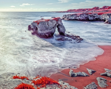 INFRAWORLD - Un Elephant II