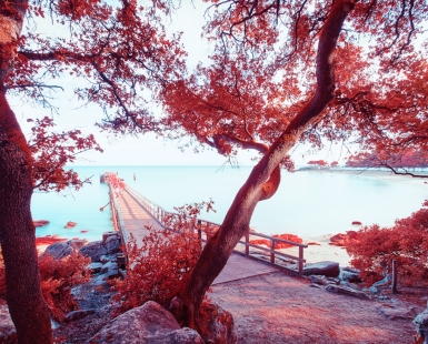 INFRAWORLD - Le bois de la Chaise I