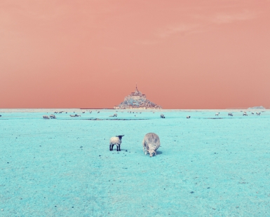 INFRAWORLD - Les moutons I