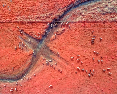 INFRAWORLD - Les moutons du Mont V