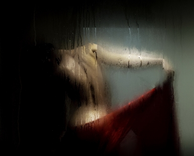 (GracefulLily) and the CyberElders