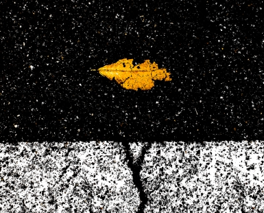 beauty is in the eye of the beholder